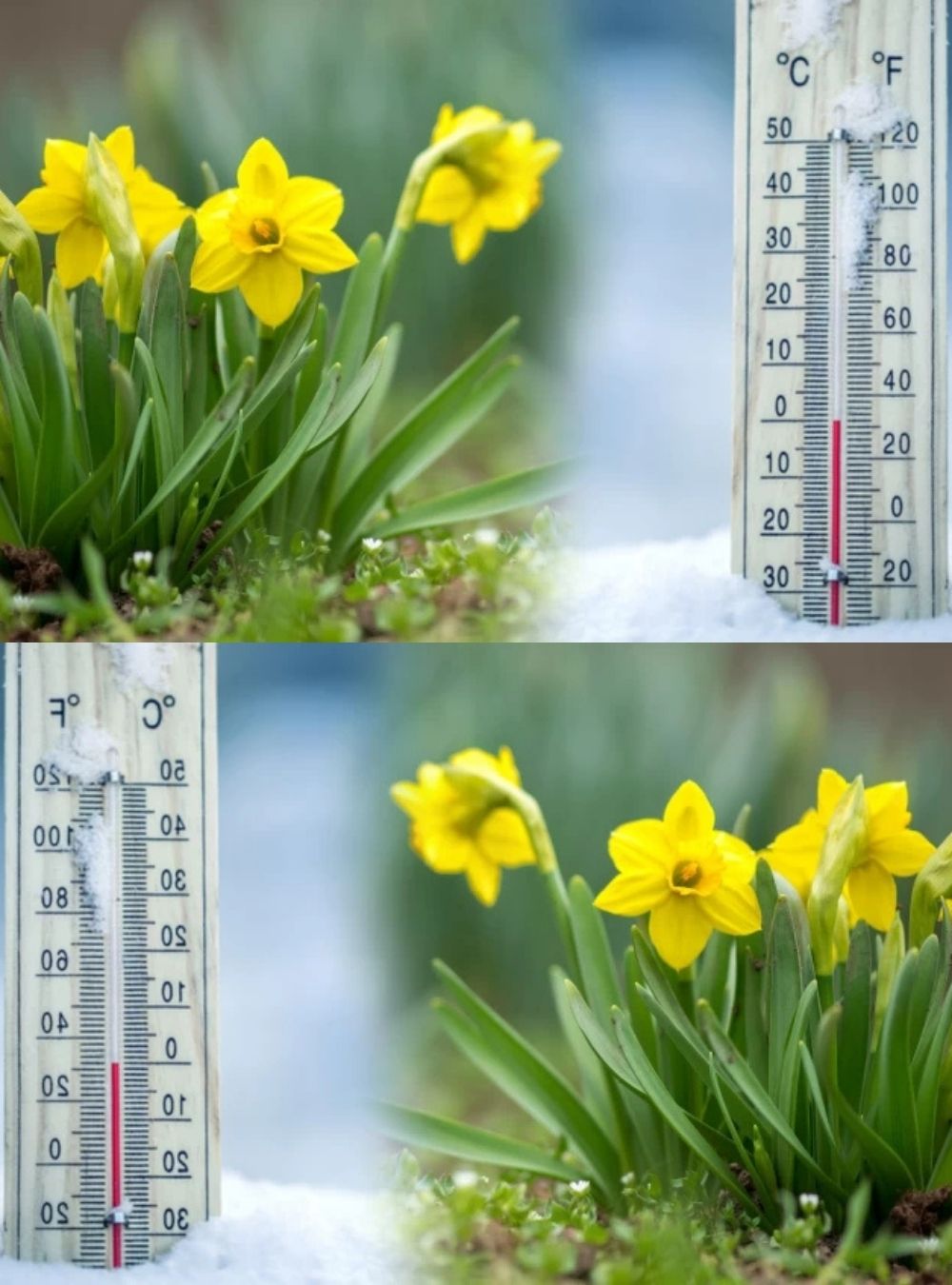 Se schimbă radical vremea în România. Prognoza Administrației Naționale de Meteorologie până la 1 martie